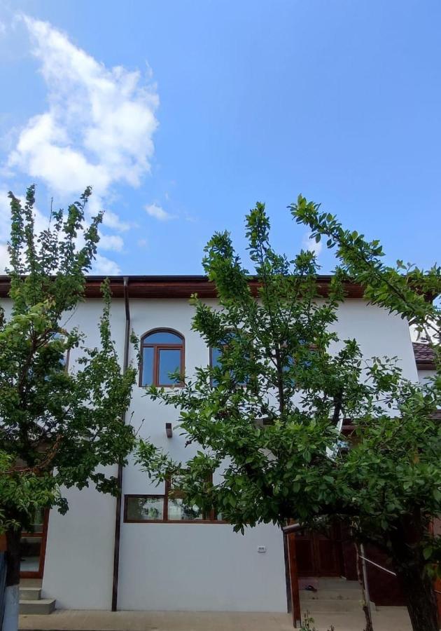 Agropensiunea Olteanu Niculitel المظهر الخارجي الصورة