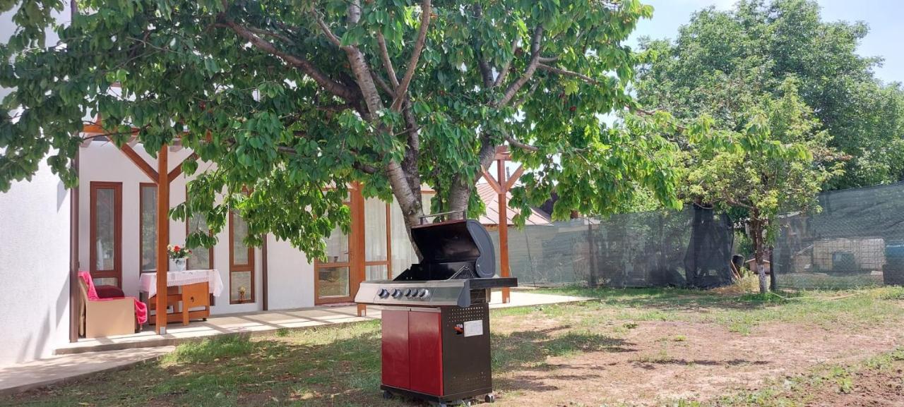 Agropensiunea Olteanu Niculitel المظهر الخارجي الصورة